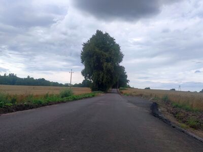 Wyremontowany odcinek drogi na odcinku Podgórki - Ostrowiec. 