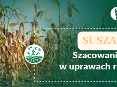 Ikona dekoracyjna.