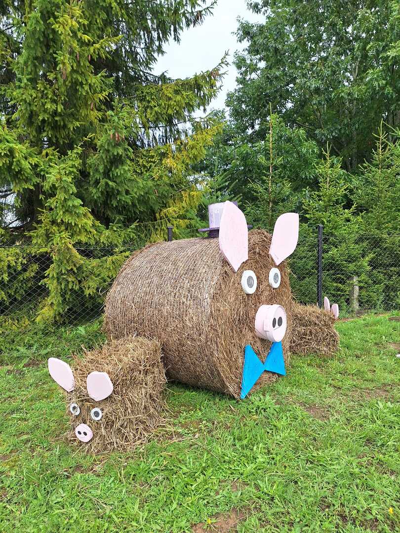 Ozdoby dożynkowe w Malechowie. 