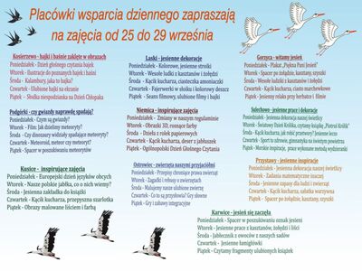 Harmonogram zajęć PWD.