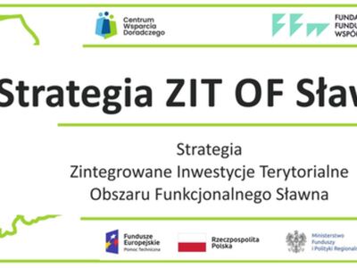 Ikona dekoracyjna ZIT OF Sławna.