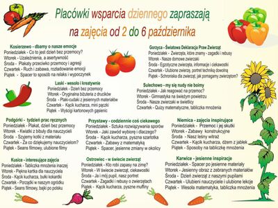 Infografika - harmonogram zajęć w Placówkach Wsparcia Dziennego.