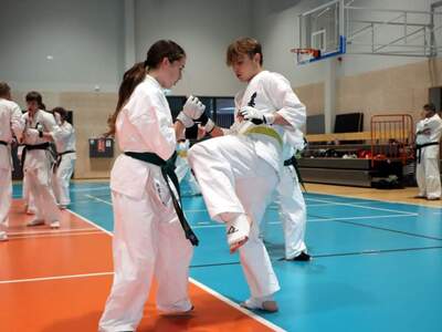 Pokaz karate z udziałem Bartłomieja Podbereżnego.