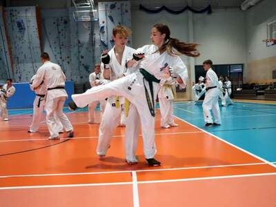 Pokaz karate z udziałem Bartłomieja Podbereżnego.