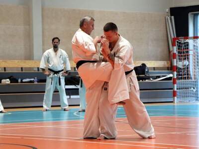 Pokaz karate z udziałem sensei Michała Bączyka.
