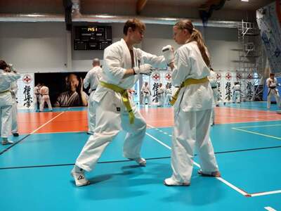 Pokaz karate z udziałem Bartłomieja Podbereżnego.