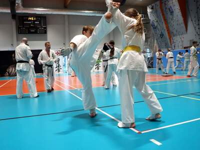 Pokaz karate z udziałem Bartłomieja Podbereżnego.