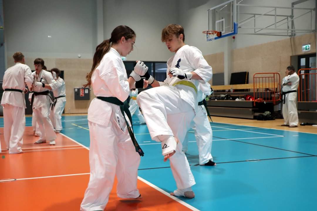 Pokaz karate z udziałem Bartłomieja Podbereżnego.