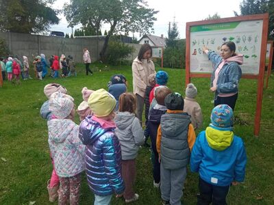 Dzieci z przedszkola podczas edukacji leśnej.