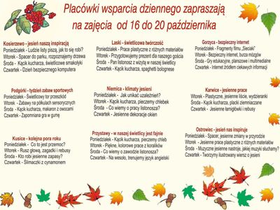 Infografika - harmonogram zajęć PWD.