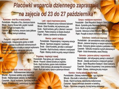 Infografika - harmonogram zajęć w placówkach wsparcia dziennego.