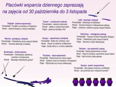 Infografika - tematyka zajęć w poszczególnych placówkach świetlicowych.