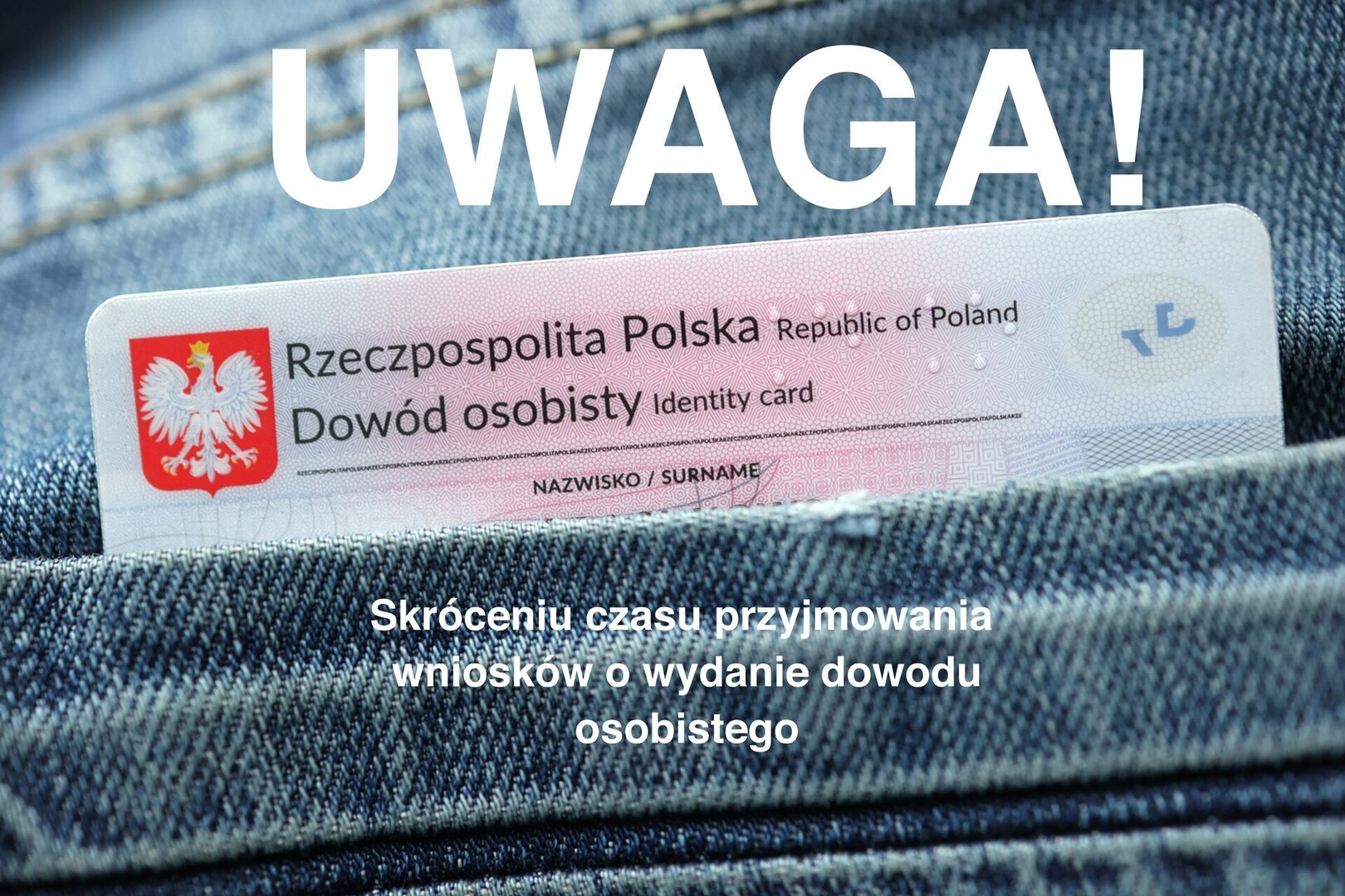 Ikonka poglądowa