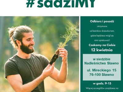 Plakat dotyczący akcji sadzenia drzewek w Nadleśnictwie Sławno 12 kwietnia 2024 r.