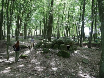 Grobowiec megalityczny w Borkowie
