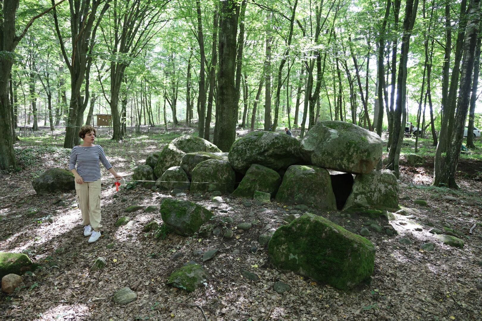 Grobowiec megalityczny w Borkowie