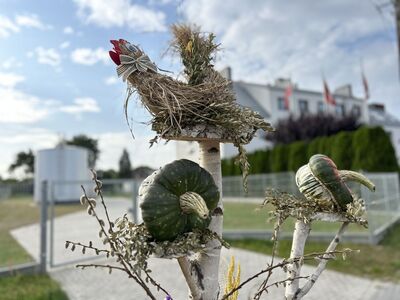 dekoracje dożynkowe