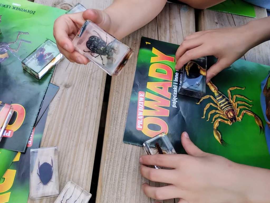 owady zatopione w blokach żywicy