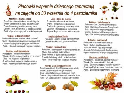 Plakat informujący o zajęciach w PWD