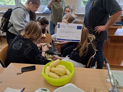 Obieranie ziemniaków - głównych bohaterów całego dnia