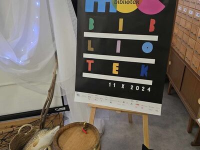 Noc Bibliotek plakat