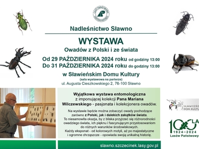 Wystawa owadów