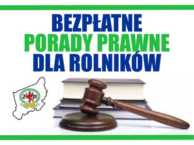 Porady prawne