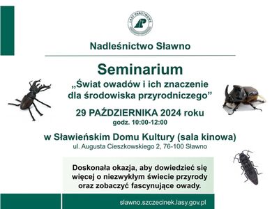 Seminarium - owady - plakat