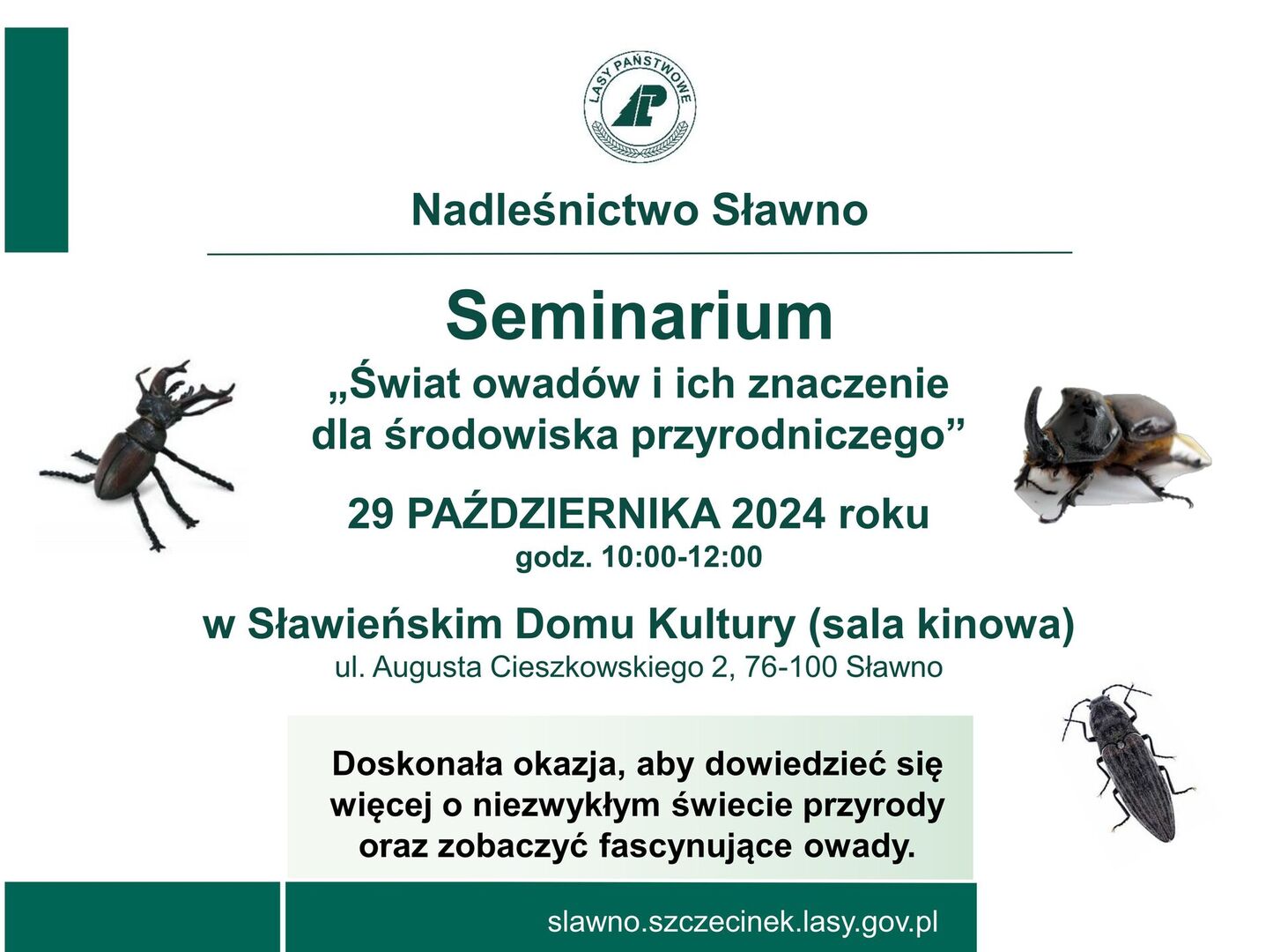Seminarium - owady - plakat