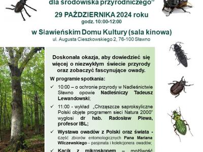 Seminarium - owady - plakat