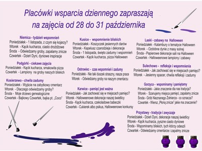 Harmonogram zajęć w PWD