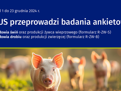 badania_ankietowe_poglowie_swin_i_drobiu_2024_slider.png[small]