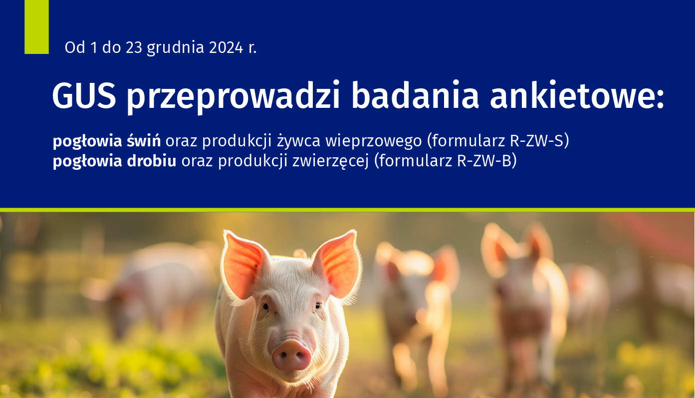 badania_ankietowe_poglowie_swin_i_drobiu_2024_slider.png [1393x797]