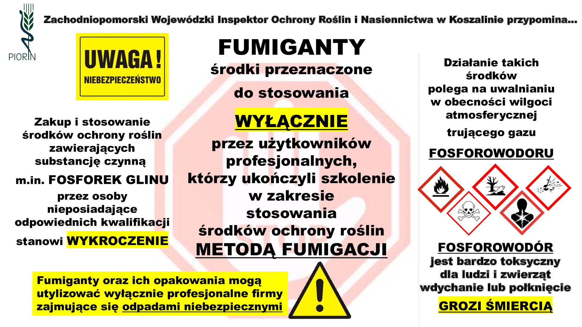 fumigacjaulotka1.jpg [2667x1500]