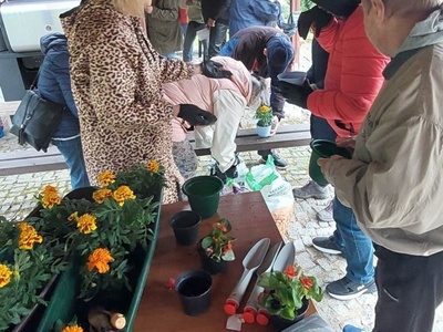 Wybieramy doniczki, ziemię, nawóz i sadzonki kwiatów.