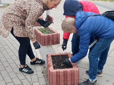 Przygotowanie podłoża w gazonie i sadzenie kwiatków.