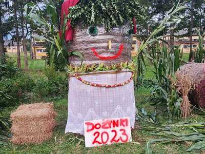 Witacz w Sołectwie Kłanino