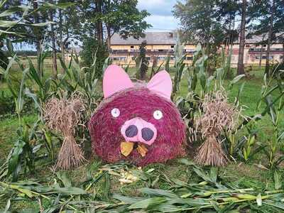 Witacz w Sołectwie Kłanino