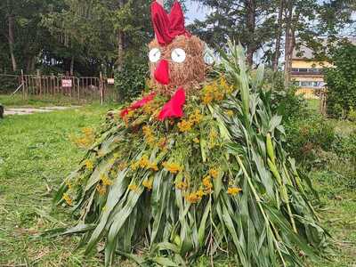 Witacz w Sołectwie Kłanino