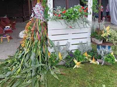 Witacz w Sołectwie Drzewiany