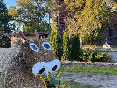 Witacz w Sołectwie Ubiedrze