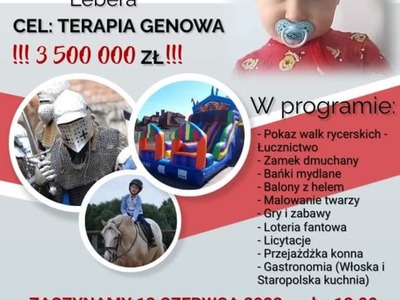 Festyn Charytatywny dla Deniska