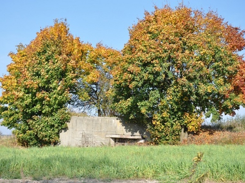 Widok bunkra z drogi Gościeradów - Kolonia Gościeradów