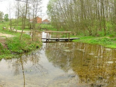 Panorama źródlisk (w tym między innymi rzekę Tuczyn i mostek nad nią)