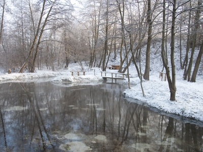 Bijące źródła pod rzeką Tuczyn oraz drzewa na brzegach rzeki w scenerii zimowej(śnieg na brzegach rzeki, kladkach)