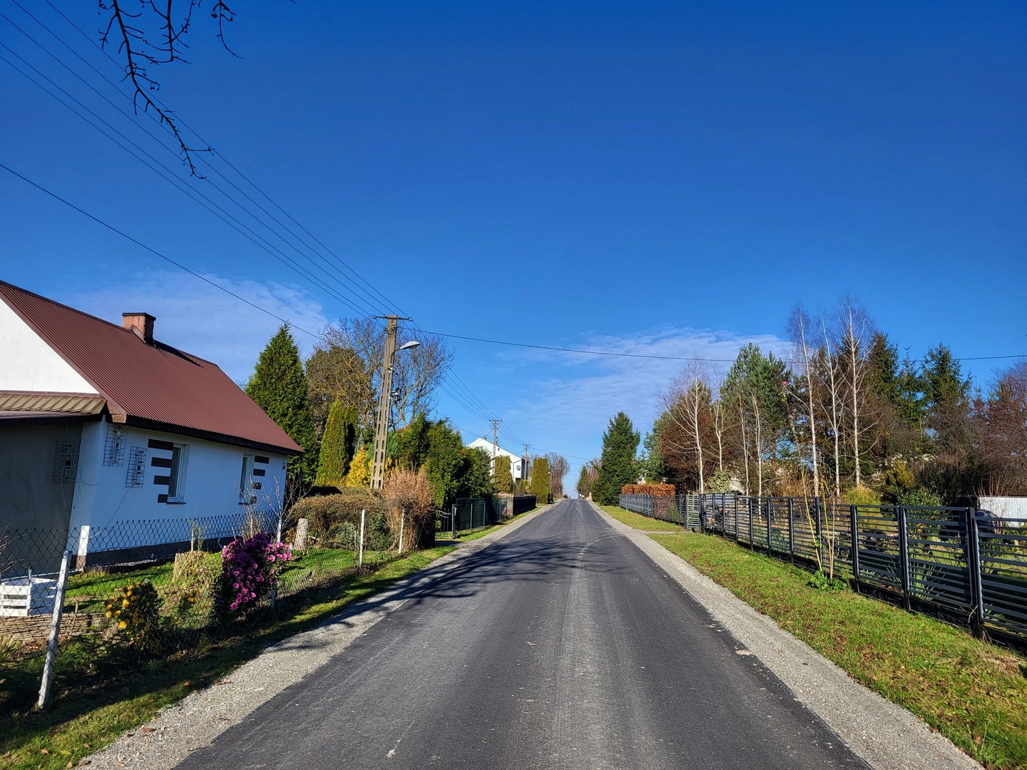 20251119_115319.jpg [4000x3000]