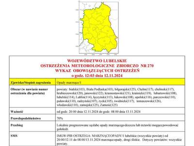 Zdjęcie ostrzeżenia meteorologicznego