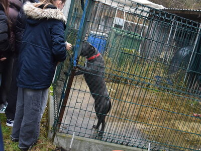Zdjęcie z akcji zbiórki karmy dla Przytuliska w Rachowie