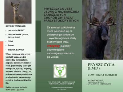 Zdjęcie dot. pryszczycy (FMD) u zwierząt dzikich - ulotka informacyjna