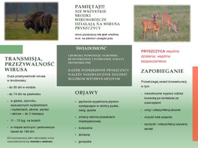 Zdjęcie dot. pryszczycy (FMD) u zwierząt dzikich - ulotka informacyjna